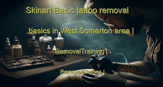 Skinart Basic tattoo removal basics in West Somerton area | RemovalTraining | RemovalClasses | SkinartTraining-United Kingdom